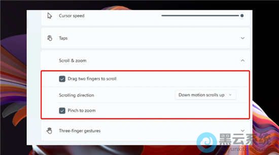 �������������Ŵ���������
