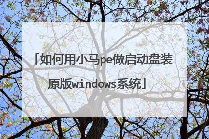 如何用小马pe做启动盘装原版windows系统