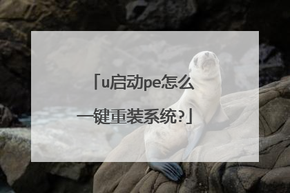 u����pe��ôһ����װϵͳ?