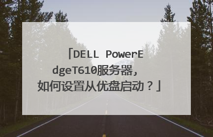 DELL PowerEdgeT610������, ������ô�����������