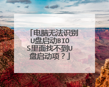 电脑无法识别U盘启动BIOS里面找不到U盘启动项?