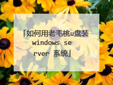 �������ë��u��װwindows server ϵͳ