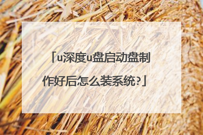 u深度u盘启动盘制作好后怎么装系统?