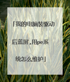 �ҵĵ���װ����������,��peϵͳ��ôά��