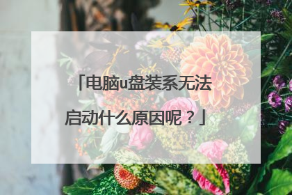 ����u��װϵ�޷�����ʲôԭ���أ�