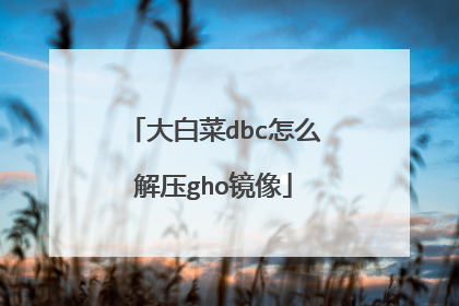 ��ײ�dbc��ô��ѹgho����