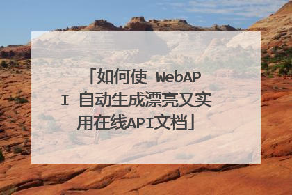 ���ʹ WebAPI �Զ�����Ư����ʵ������API�ĵ�