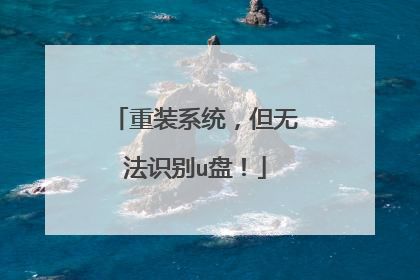 ��װϵͳ�����޷�ʶ��u�̣�