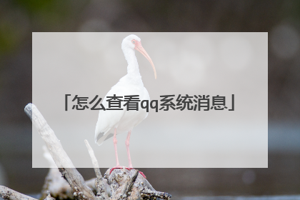 ��ô�鿴qqϵͳ��Ϣ