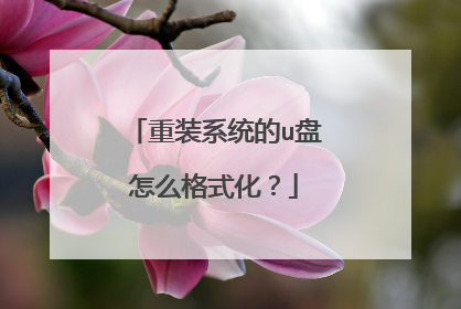 ��װϵͳ��u����ô��ʽ����