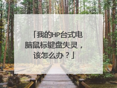 我的HP台式电脑鼠标键盘失灵,该怎么办?