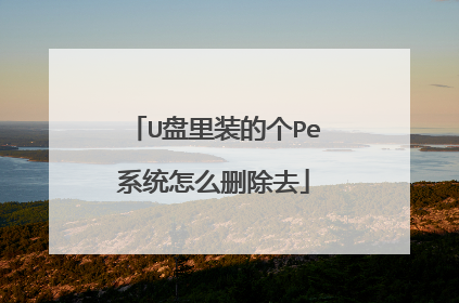 U����װ�ĸ�Peϵͳ��ôɾ��ȥ