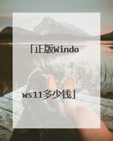 ����Windows11����Ǯ