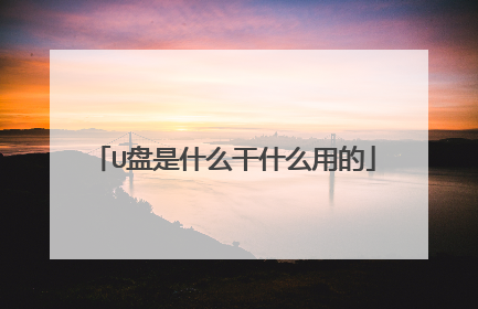 U����ʲô��ʲô�õ�