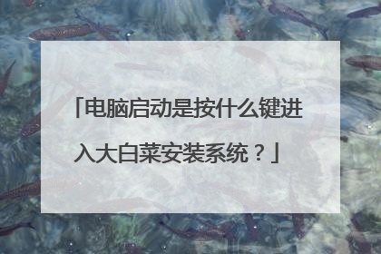 ���������ǰ�ʲô�������ײ˰�װϵͳ��