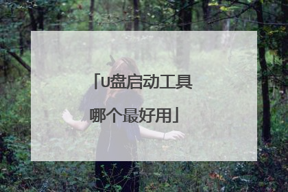 U�����������ĸ������