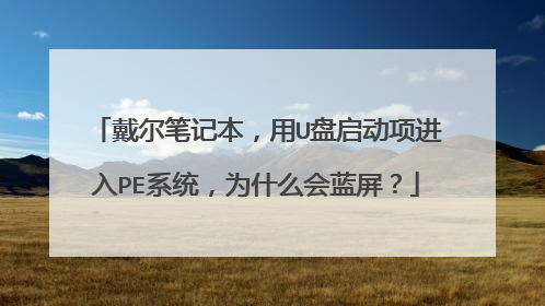 �����ʼǱ�����U�����������PEϵͳ��Ϊʲô��������