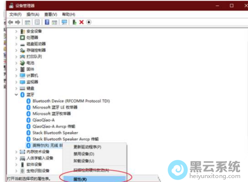 ѡ������