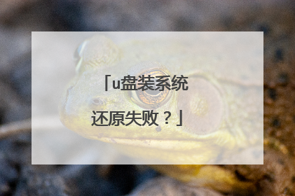 u盘装系统还原失败?