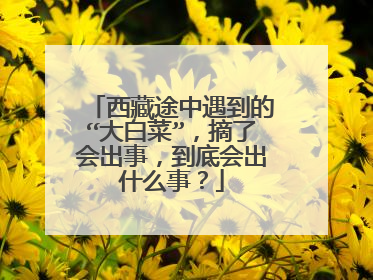 ����;�������ġ���ײˡ���ժ�˻���£����׻��ʲô�£�