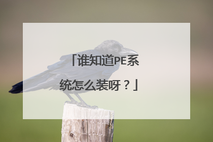 ˭֪��PEϵͳ��ôװѽ��