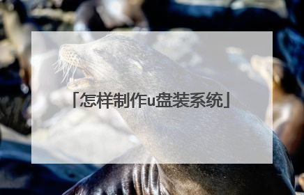 ��������u��װϵͳ