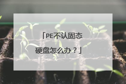 PE���Ϲ�̬Ӳ����ô�죿