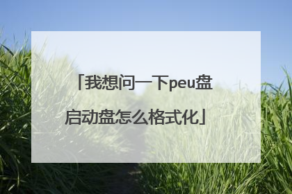 ������һ��peu����������ô��ʽ��