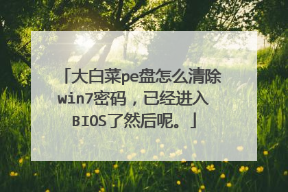 ��ײ�pe����ô���win7���룬�Ѿ�����BIOS��Ȼ���ء�
