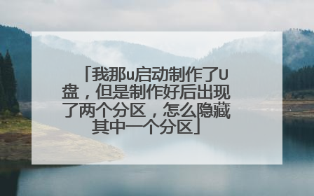 我那u启动制作了U盘,但是制作好后出现了两个分区,怎么隐藏其中一个分区