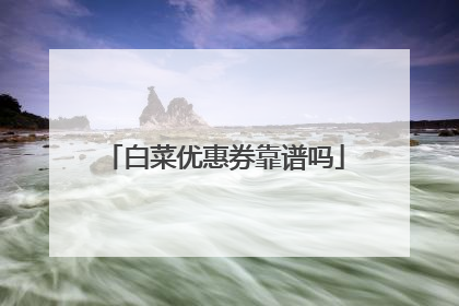 �ײ��Ż�ȯ������