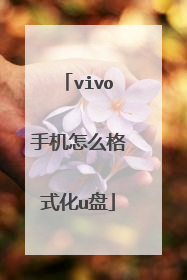 vivo�ֻ���ô��ʽ��u��