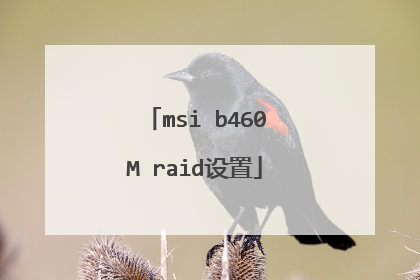 msi b460M raid����