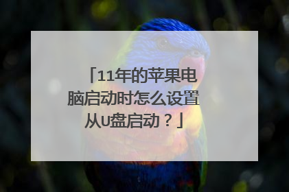 11���ƻ����������ʱ��ô���ô�U��������