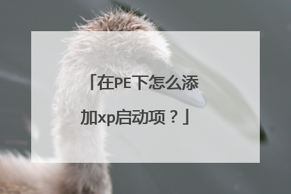 ��PE����ô����xp�����