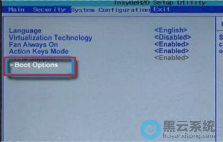 ����boot options