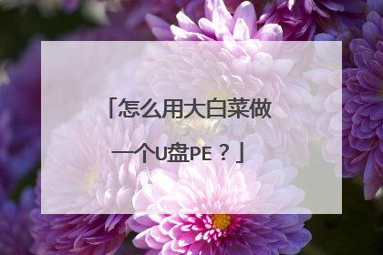 ��ô�ô�ײ���һ��U��PE��