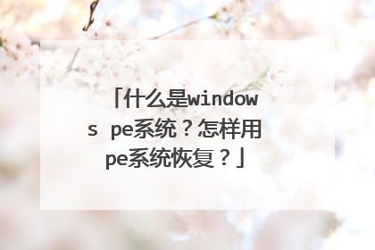 ʲô��windows peϵͳ��������peϵͳ�ָ���