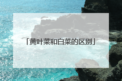 ��Ҷ�˺Ͱײ˵�����