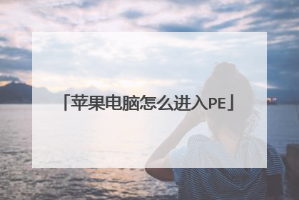 苹果电脑怎么进入PE