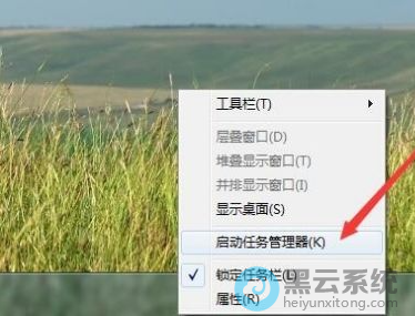 ѡ���������������