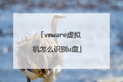 vmware�������ôʶ��u��