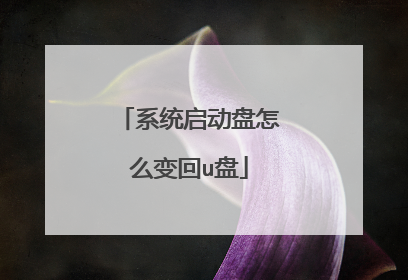 系统启动盘怎么变回u盘