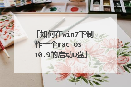 �����win7������һ��mac os 10.9������U��