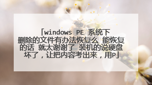 windows PE ϵͳ��ɾ�����ļ��а취�ָ�ô �ָܻ��Ļ� ��̫лл�� װ����˵Ӳ�̻��ˣ��ð����ݿ���������P