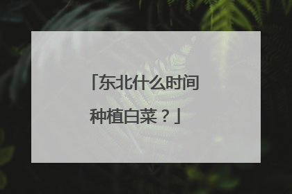 ����ʲôʱ����ֲ�ײˣ�