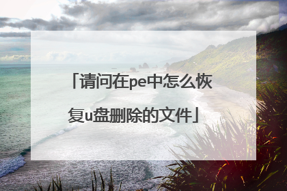 请问在pe中怎么恢复u盘删除的文件