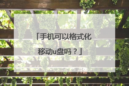 �ֻ����Ը�ʽ���ƶ�u����