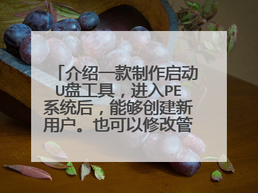 ����һ����������U�̹��ߣ�����PEϵͳ���ܹ��������û���Ҳ�����޸Ĺ���Ա���롣