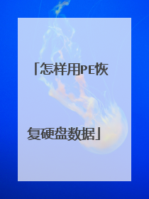 ������PE�ָ�Ӳ������